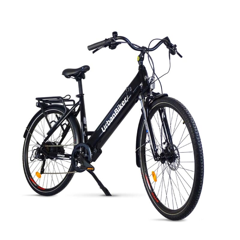 Urban Electric Bicycle City