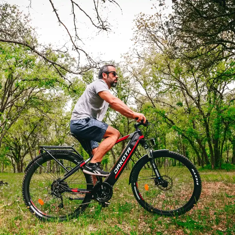 Bicicleta de montanha eléctrica equipada