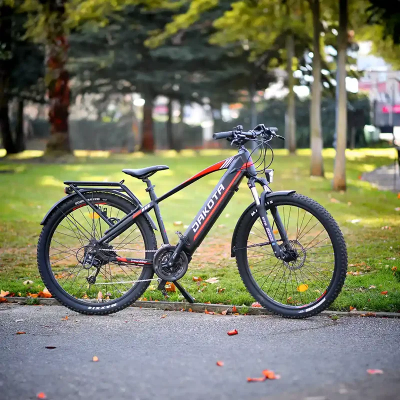 Bicicleta de montanha eléctrica equipada